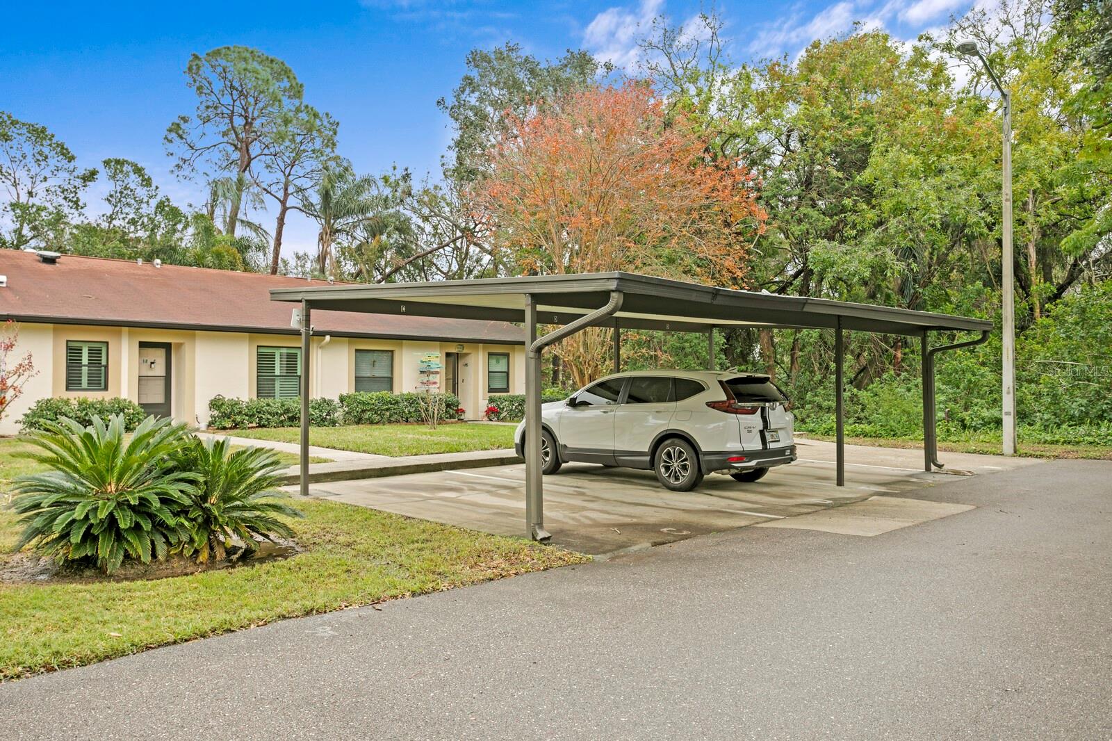 11511 113TH ST #12C, SEMINOLE, FL, 33778