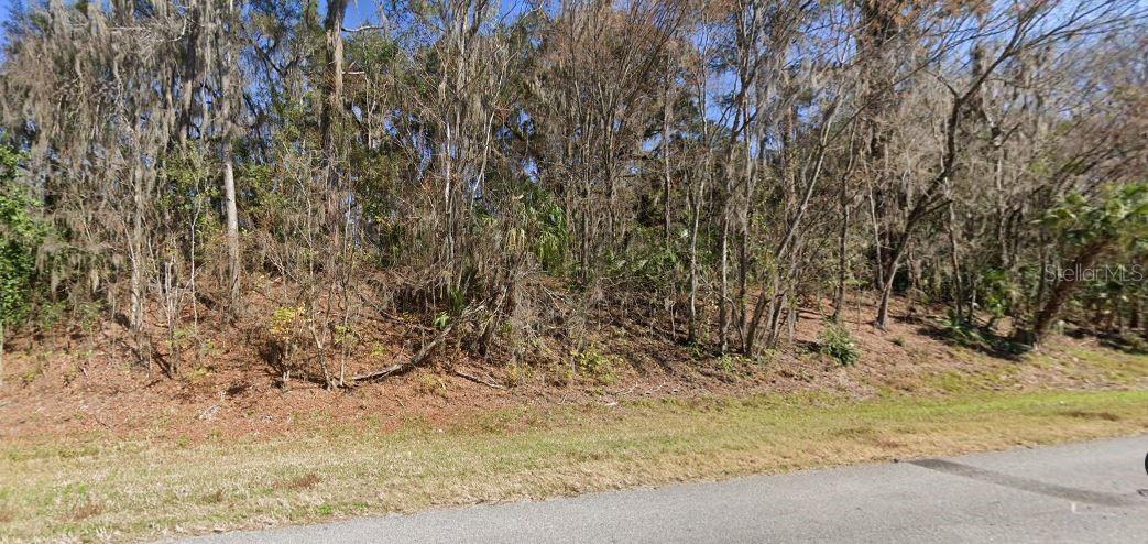 SE WACAHOOTA RD, MICANOPY, FL, 32667