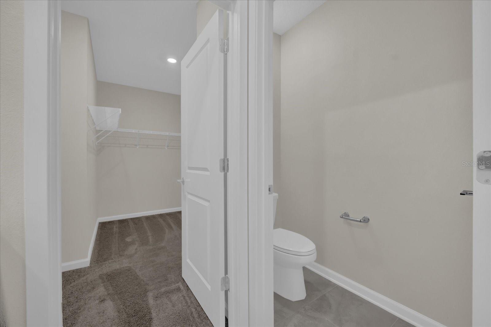 2826 ALDER BERRY BLVD, OCOEE, FL, 34761