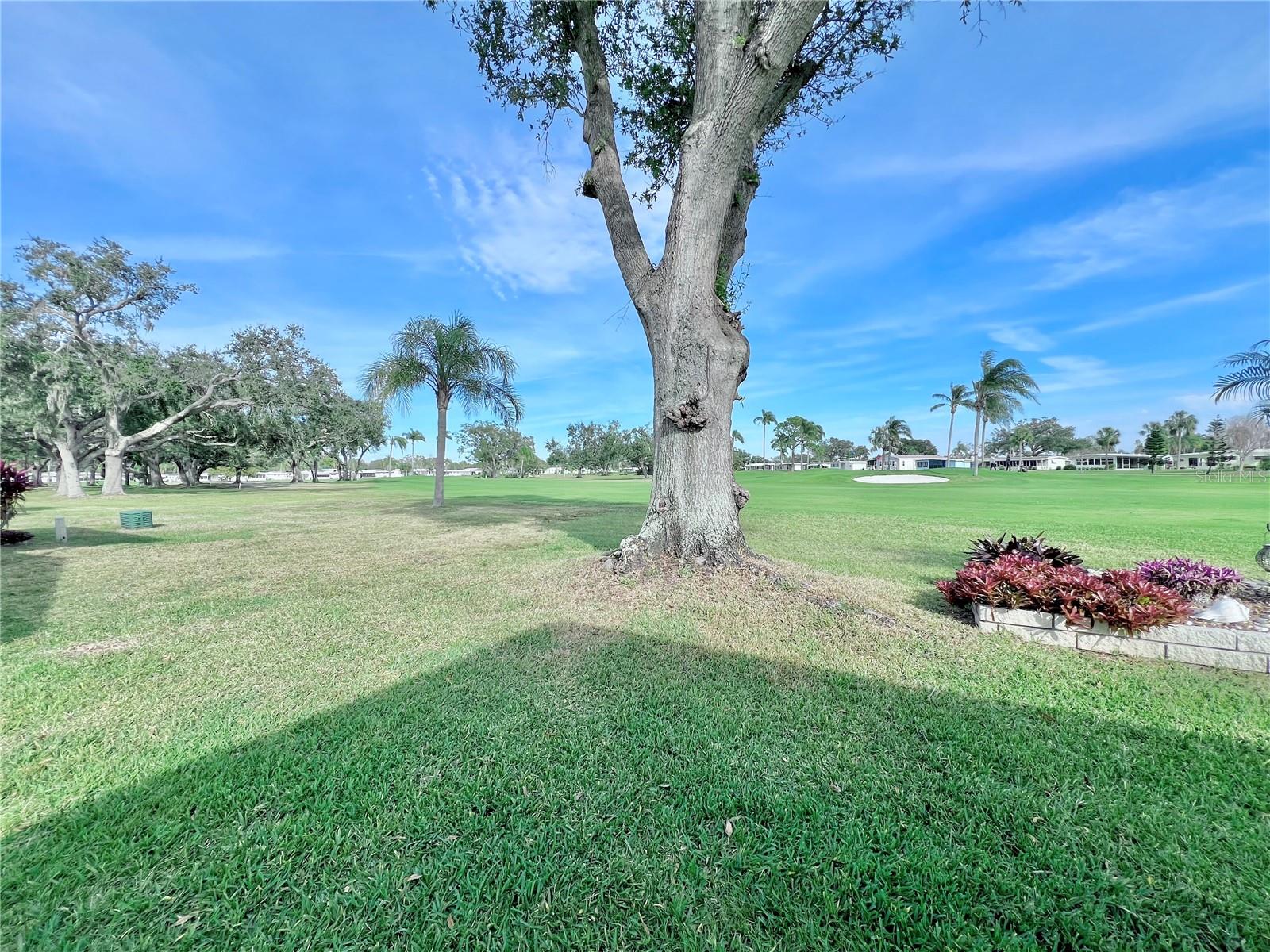 1100 BELCHER RD S #448, LARGO, FL, 33771