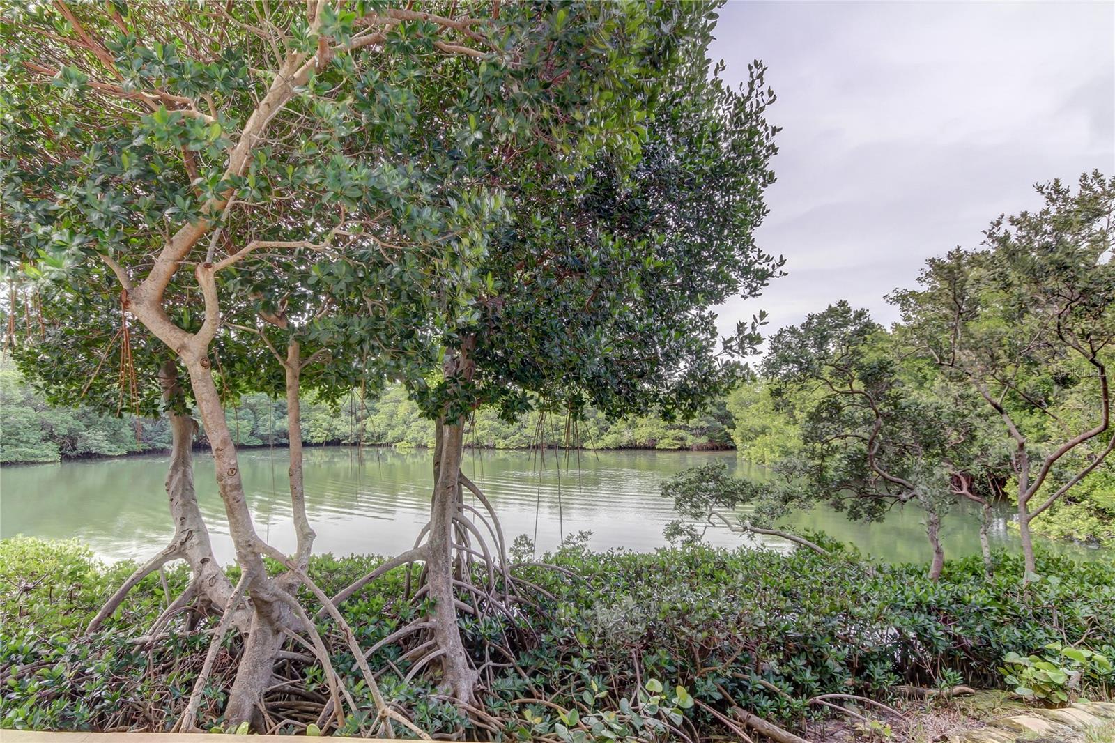 7050 SUNSET DR S #208, SOUTH PASADENA, FL, 33707