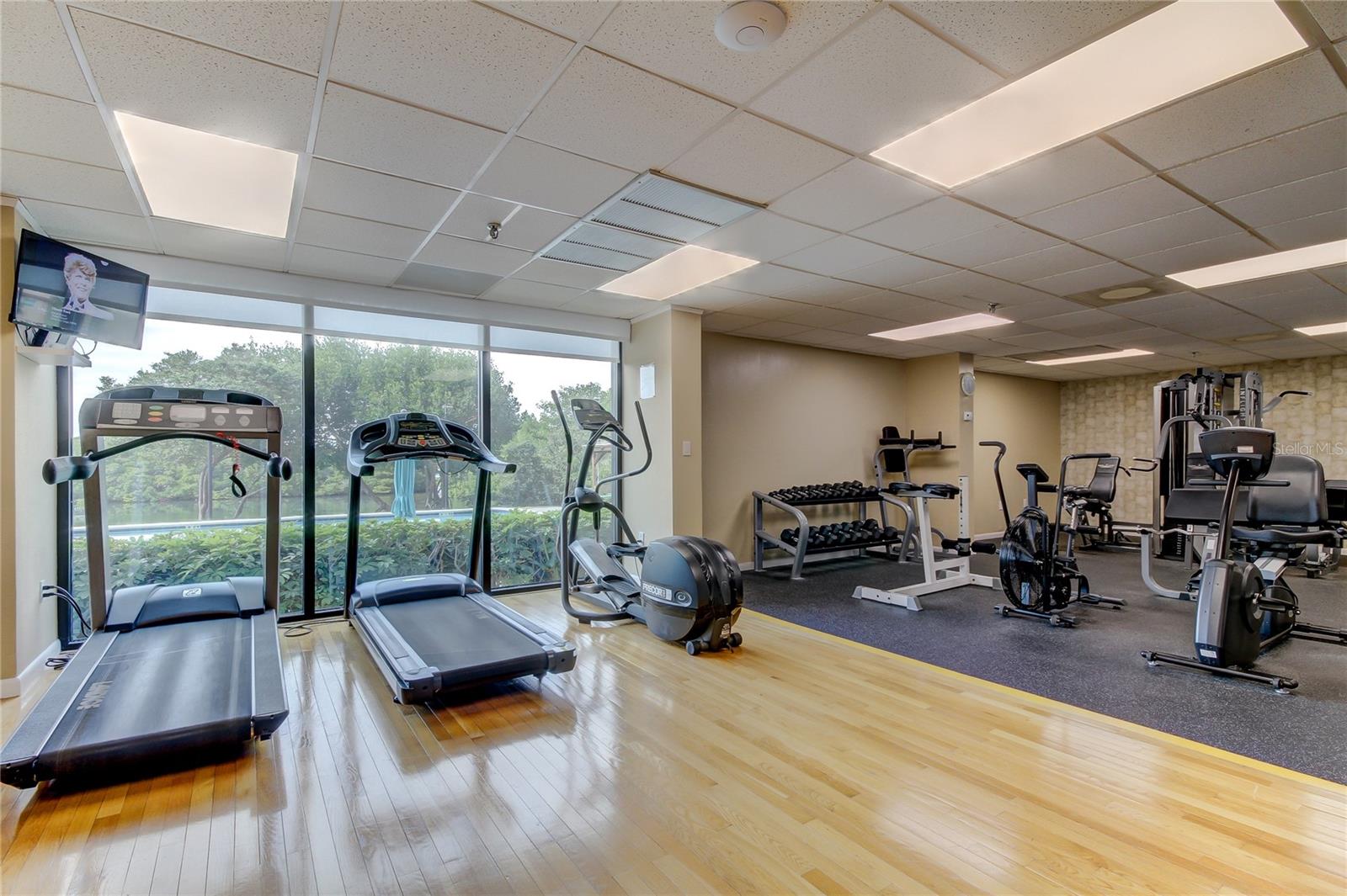 7050 SUNSET DR S #208, SOUTH PASADENA, FL, 33707