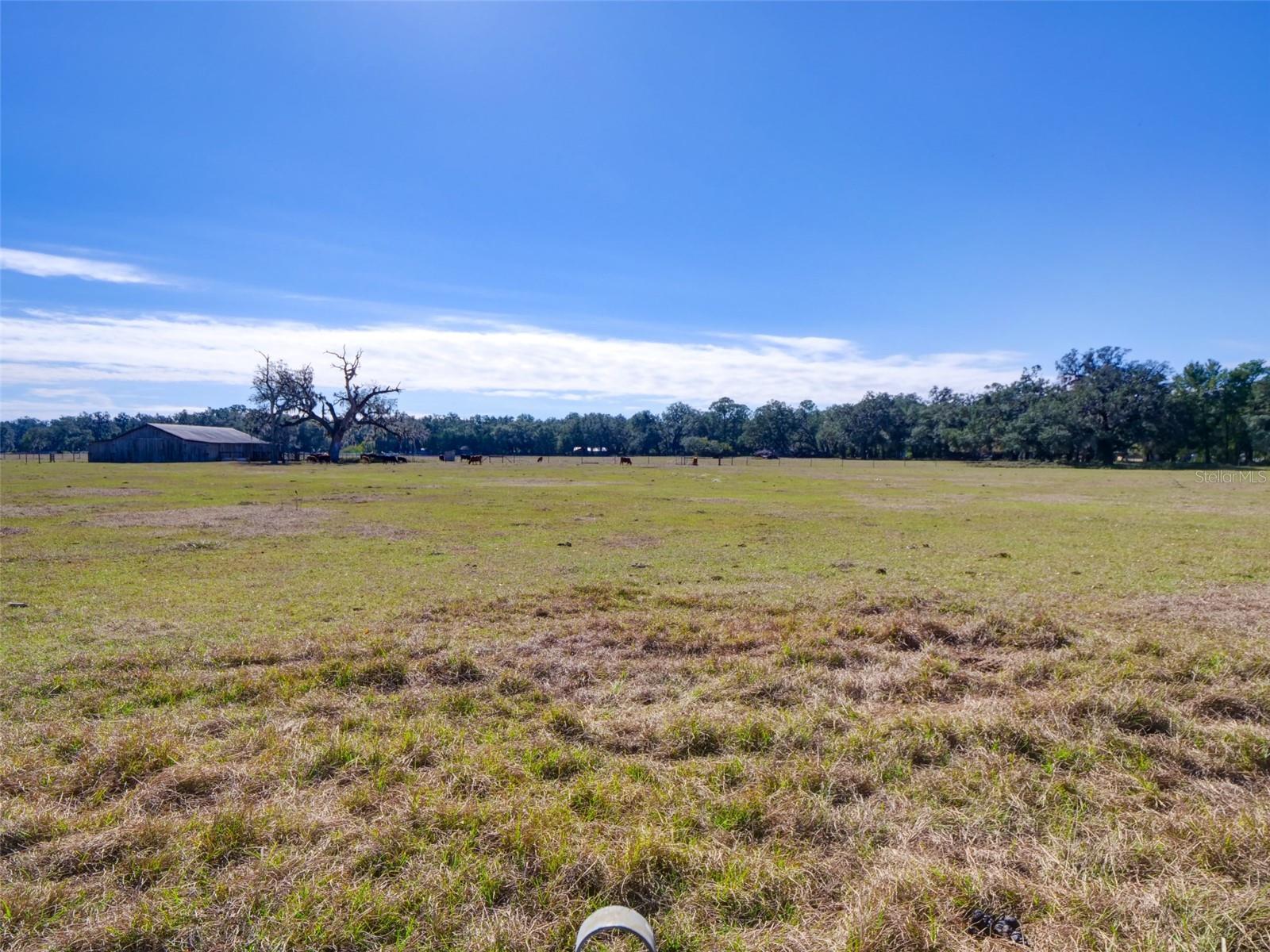 1199 CR 542G, BUSHNELL, FL, 33513