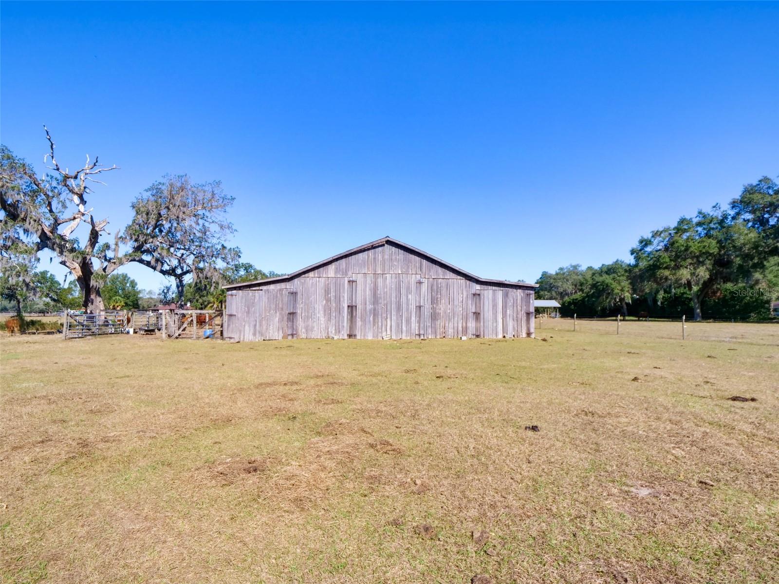 1199 CR 542G, BUSHNELL, FL, 33513