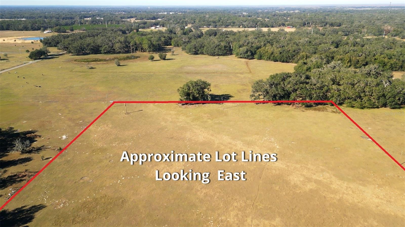 1199 CR 542G, BUSHNELL, FL, 33513