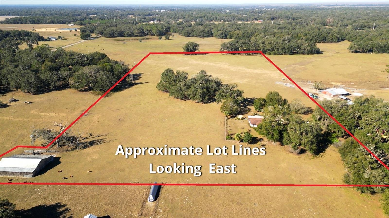 1199 CR 542G, BUSHNELL, FL, 33513