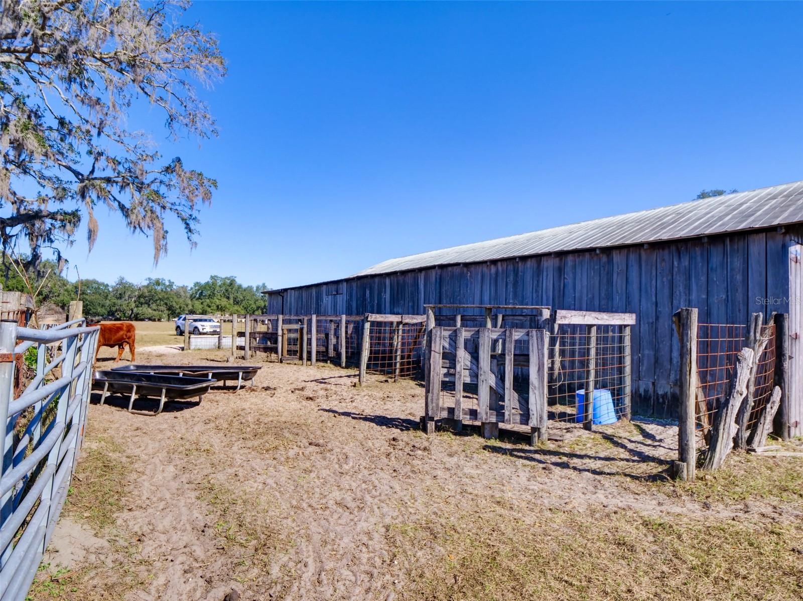 1199 CR 542G, BUSHNELL, FL, 33513