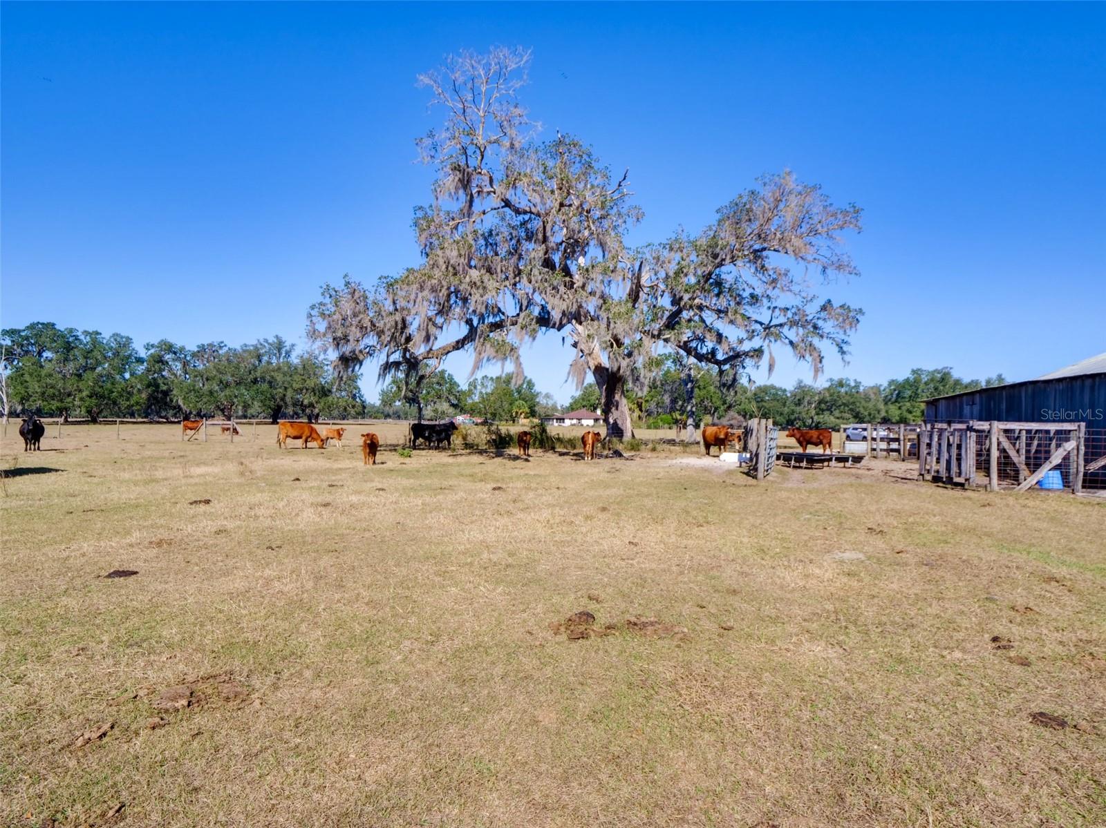 1199 CR 542G, BUSHNELL, FL, 33513