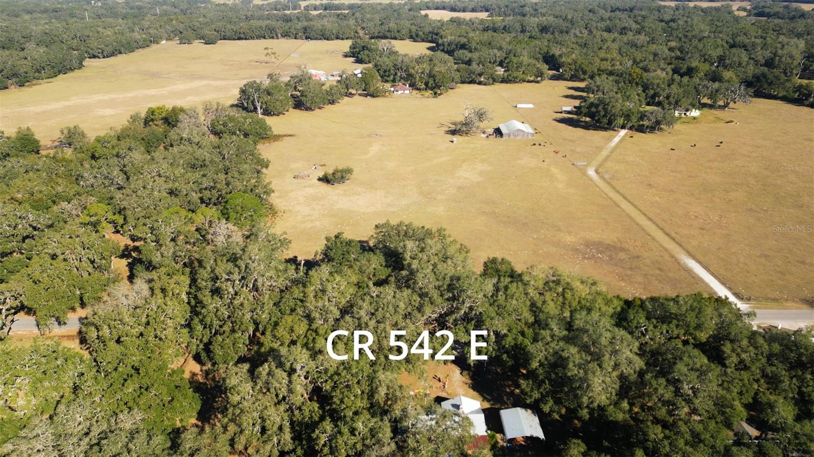 CR 542E, BUSHNELL, FL, 33513