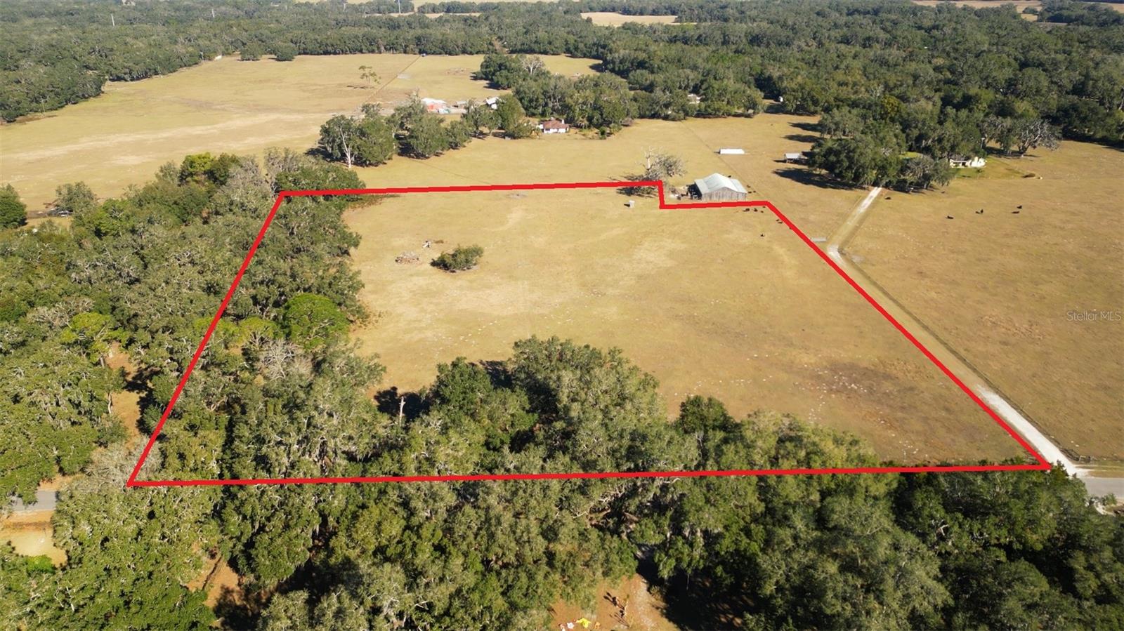 CR 542E, BUSHNELL, FL, 33513