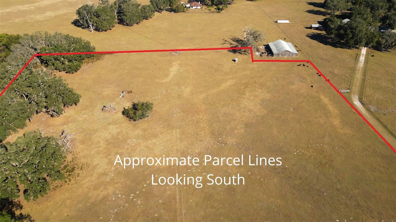 CR 542E, BUSHNELL, FL, 33513