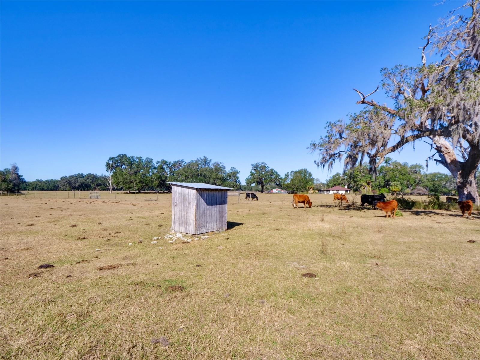 CR 542E, BUSHNELL, FL, 33513
