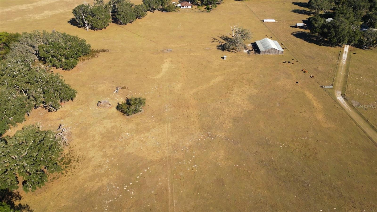 CR 542E, BUSHNELL, FL, 33513