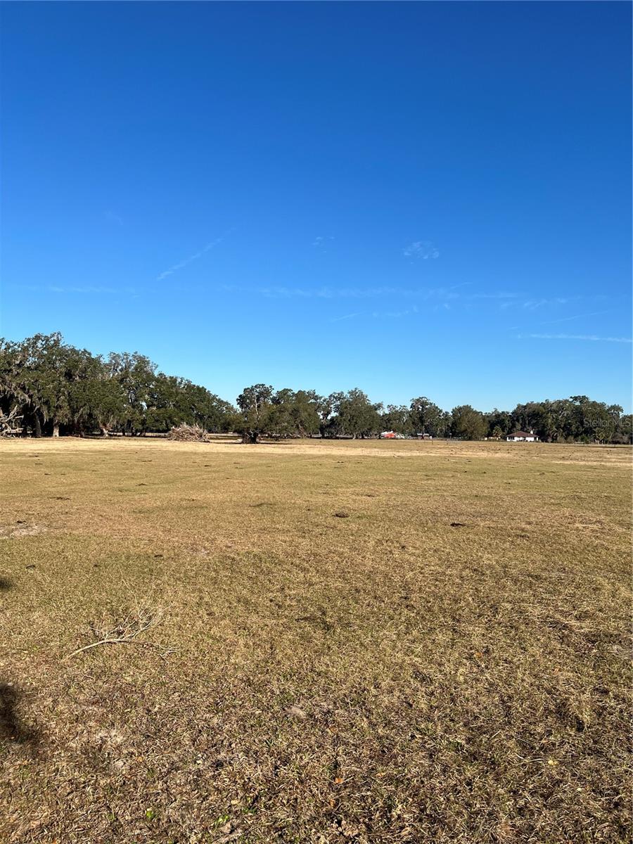 CR 542E, BUSHNELL, FL, 33513