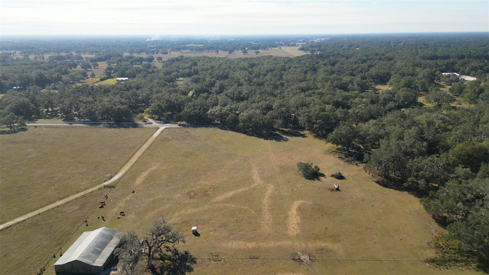 CR 542E, BUSHNELL, FL, 33513