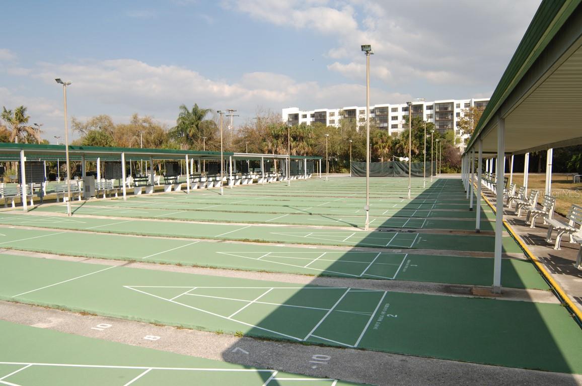 2501 SAPPHIRE GREENS LN, SUN CITY CENTER, FL, 33573
