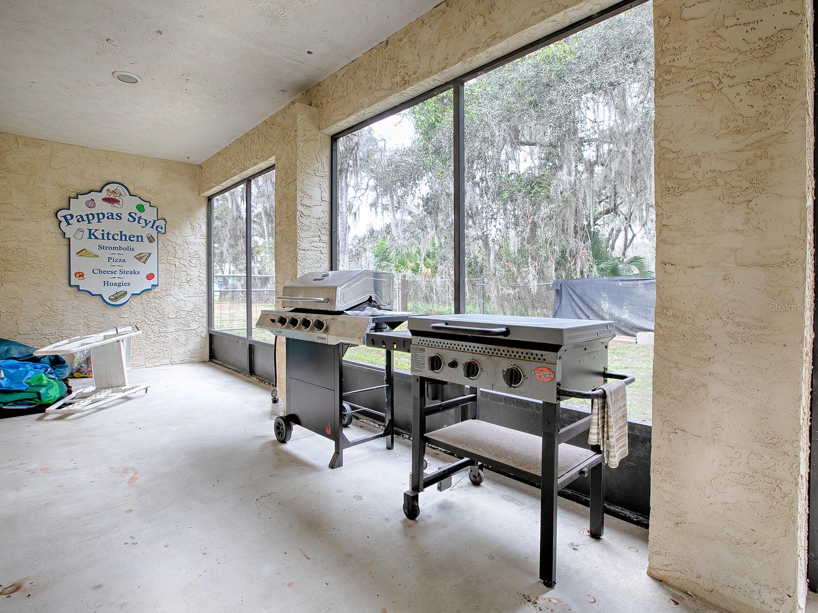 1029 CR 452A, LAKE PANASOFFKEE, FL, 33538