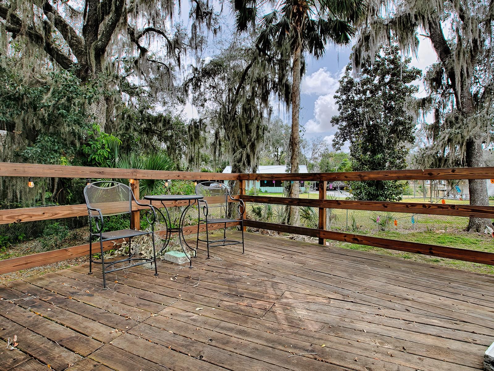 1029 CR 452A, LAKE PANASOFFKEE, FL, 33538