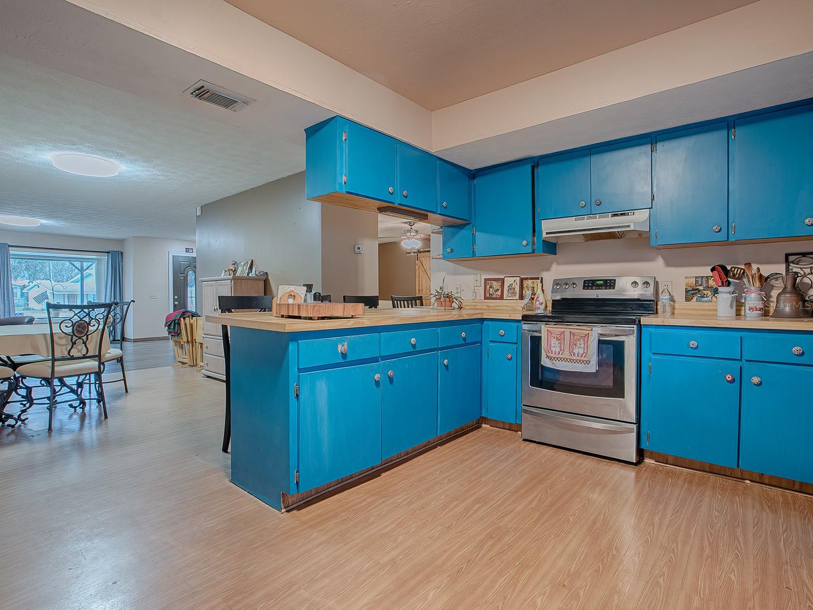 1029 CR 452A, LAKE PANASOFFKEE, FL, 33538
