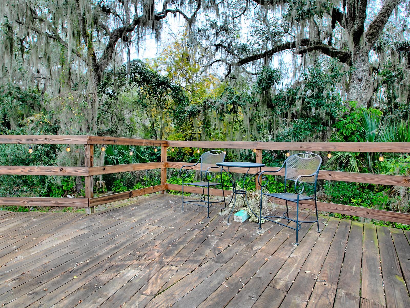 1029 CR 452A, LAKE PANASOFFKEE, FL, 33538