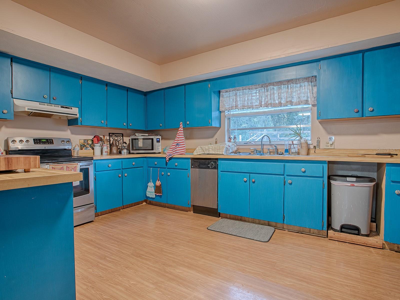 1029 CR 452A, LAKE PANASOFFKEE, FL, 33538
