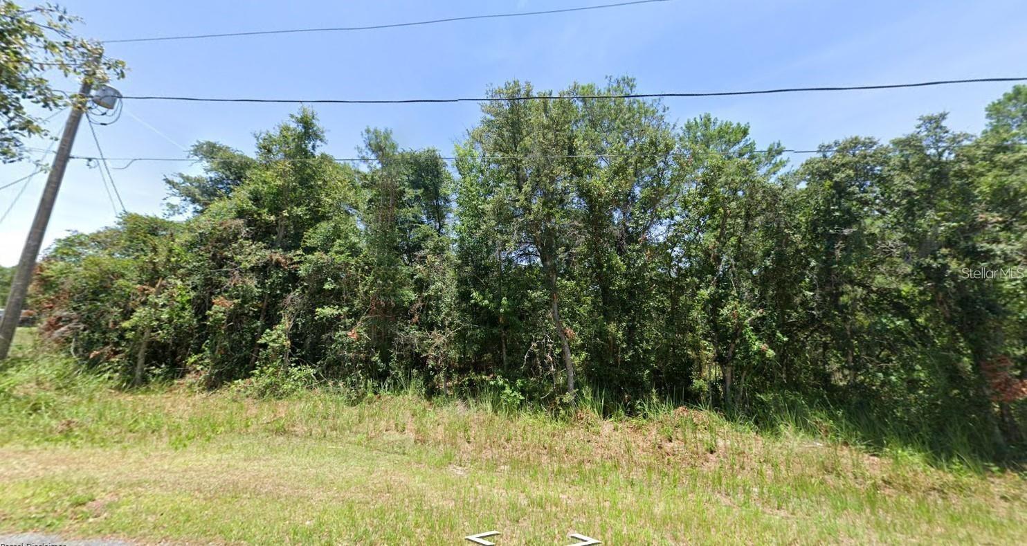 23 OLIVE DR, OCALA, FL, 34472
