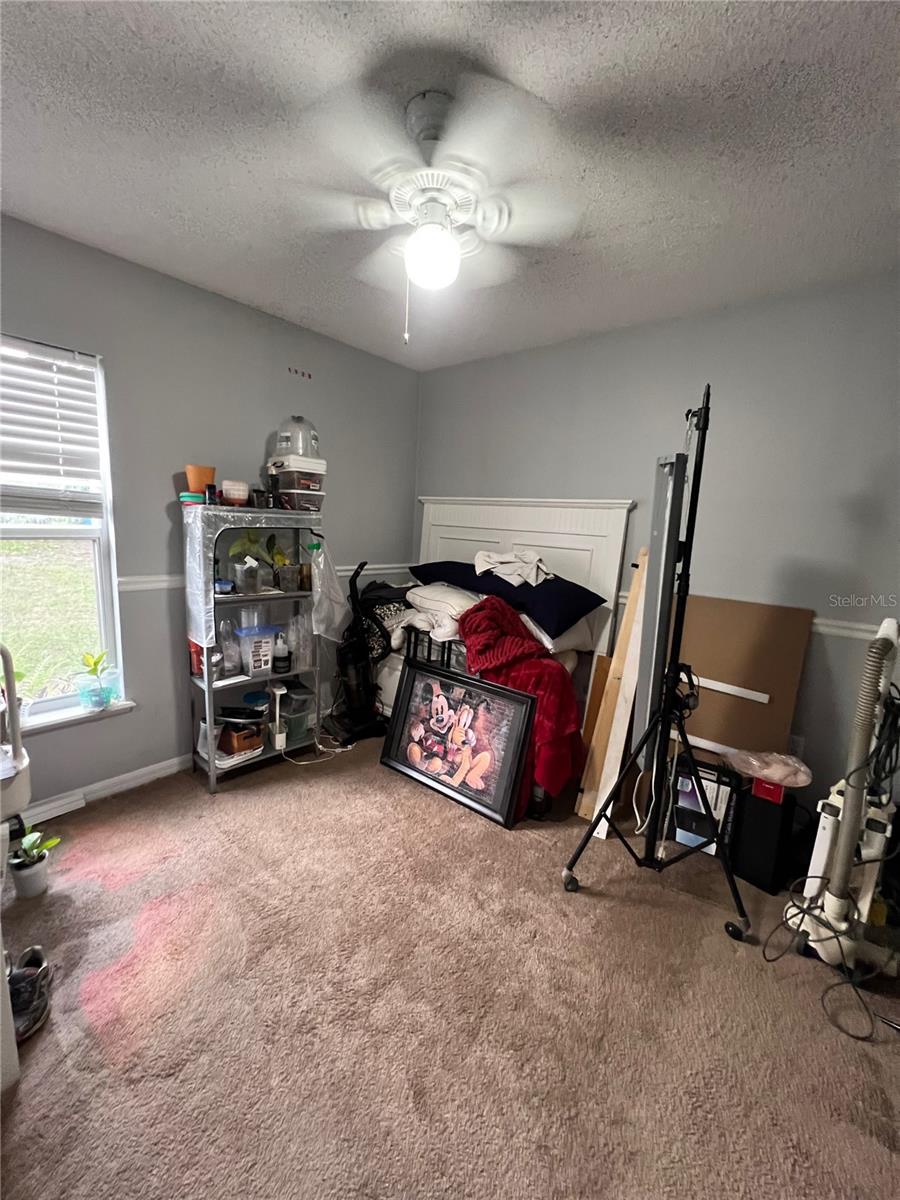 15824 MARSH ELDER ST, CLERMONT, FL, 34711