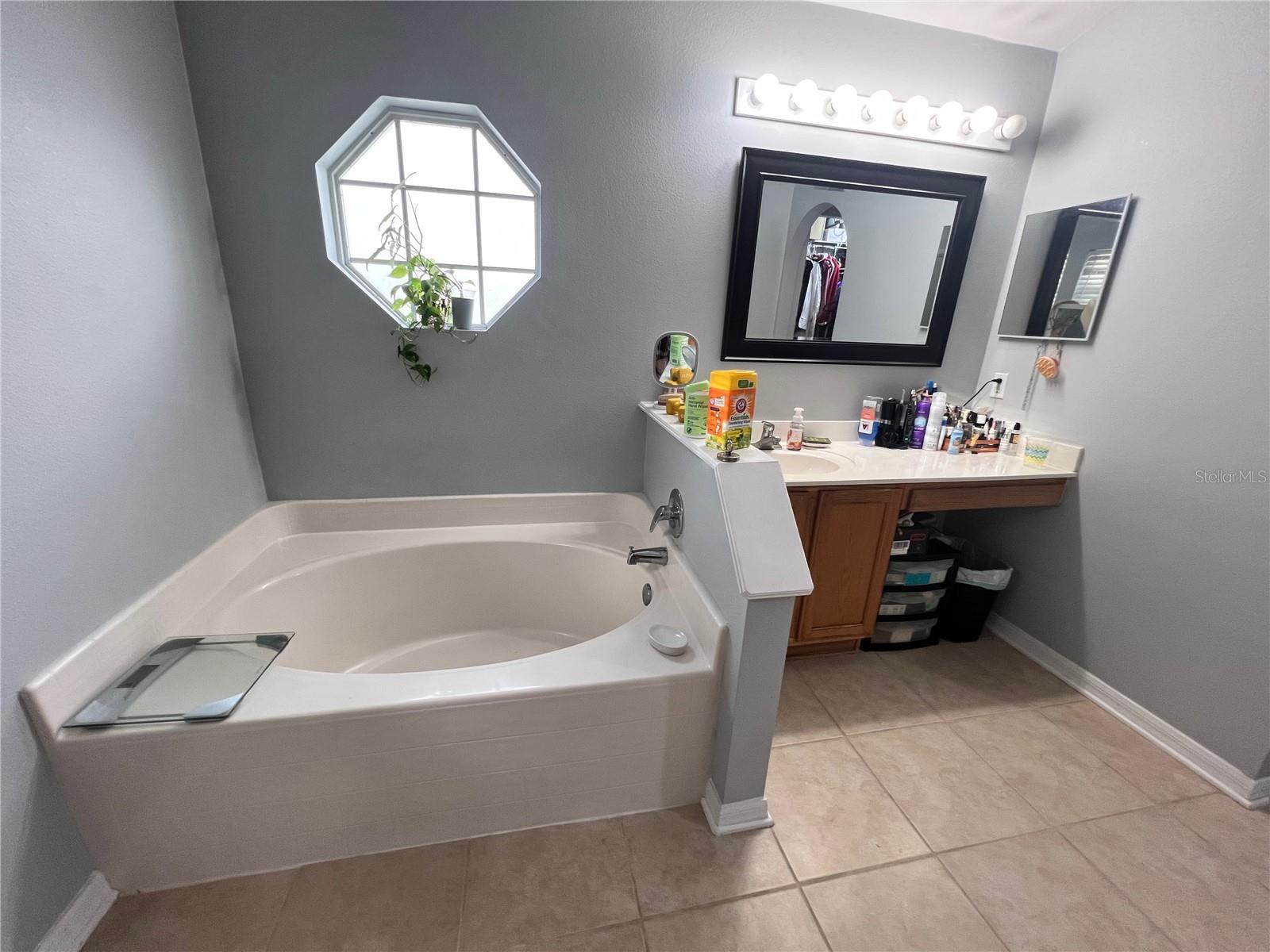 15824 MARSH ELDER ST, CLERMONT, FL, 34711