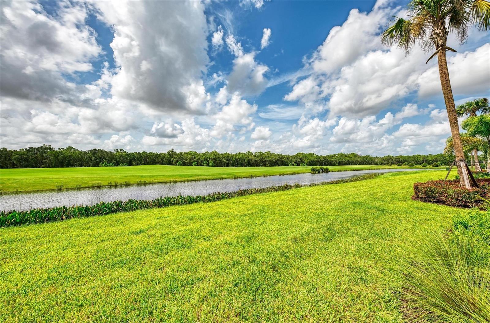 17810 GAWTHROP DR #303, BRADENTON, FL, 34211