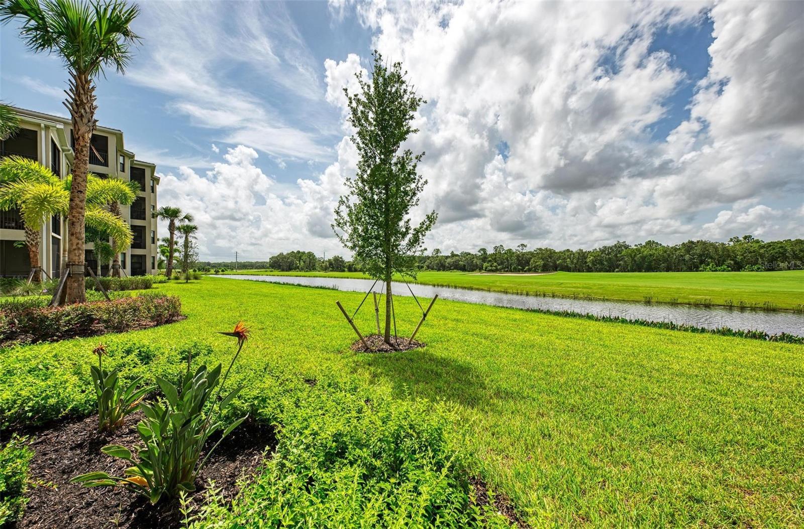 17810 GAWTHROP DR #303, BRADENTON, FL, 34211