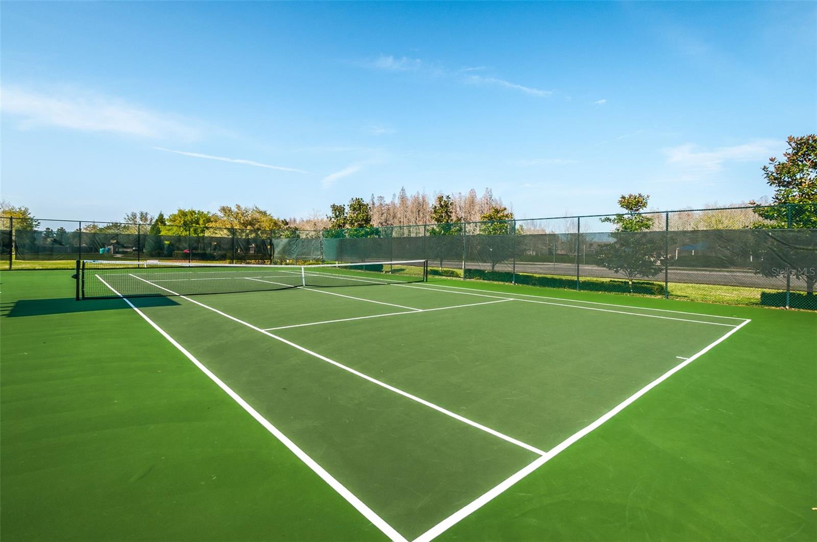 17443 GLENAPP DR, LAND O LAKES, FL, 34638