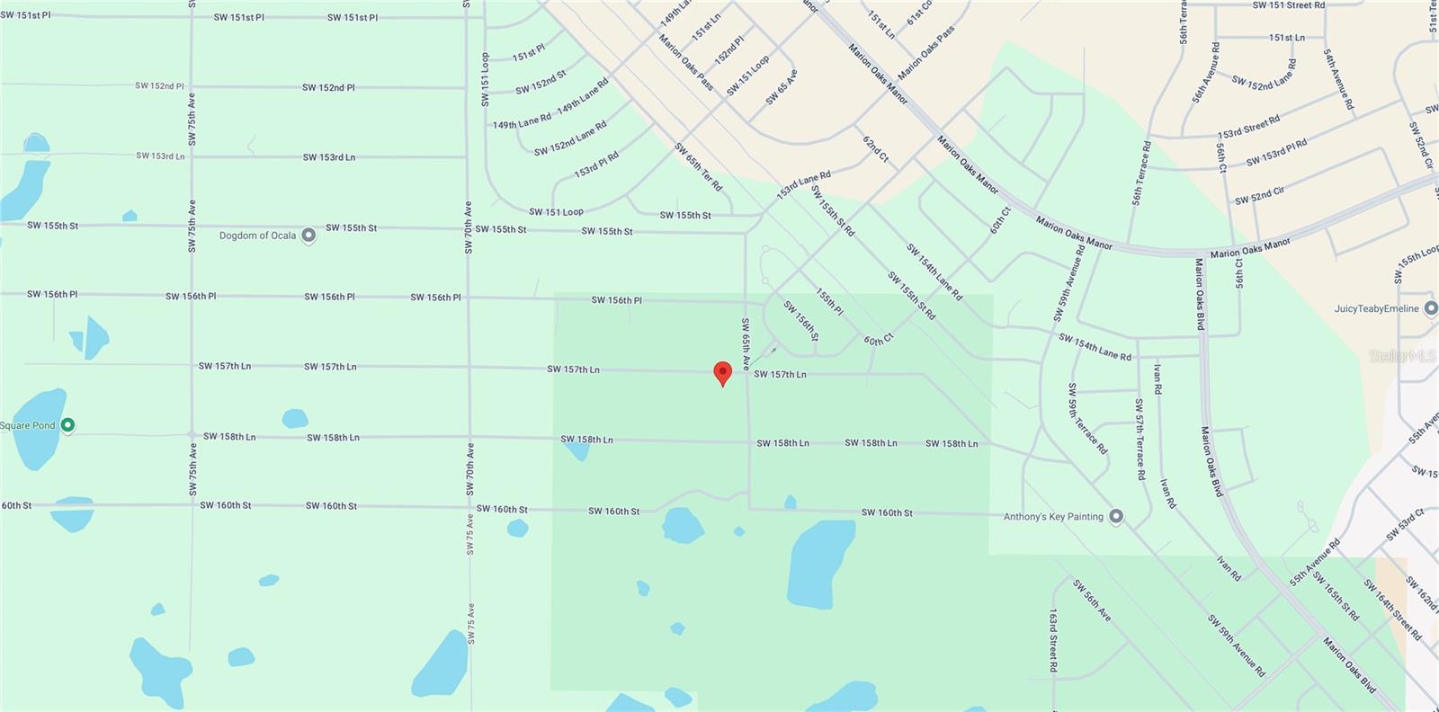 6530 SW 157TH LN, DUNNELLON, FL, 34432