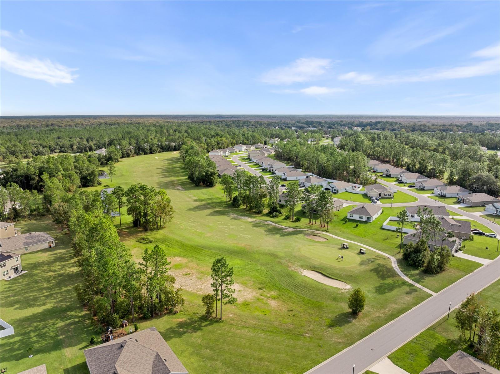 141 HICKORY COURSE CIR, OCALA, FL, 34472