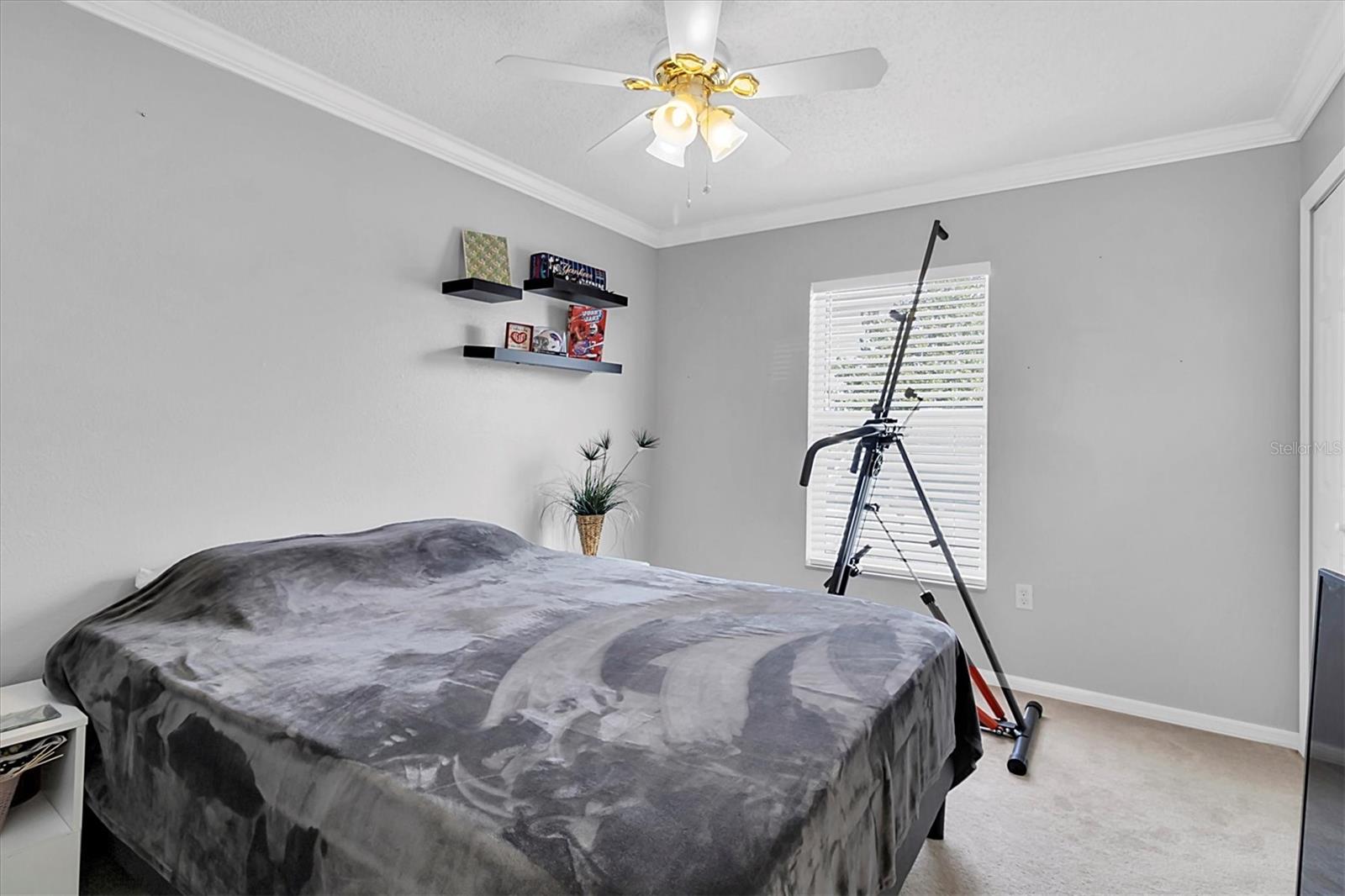 4332 LAMSON AVE, SPRING HILL, FL, 34608