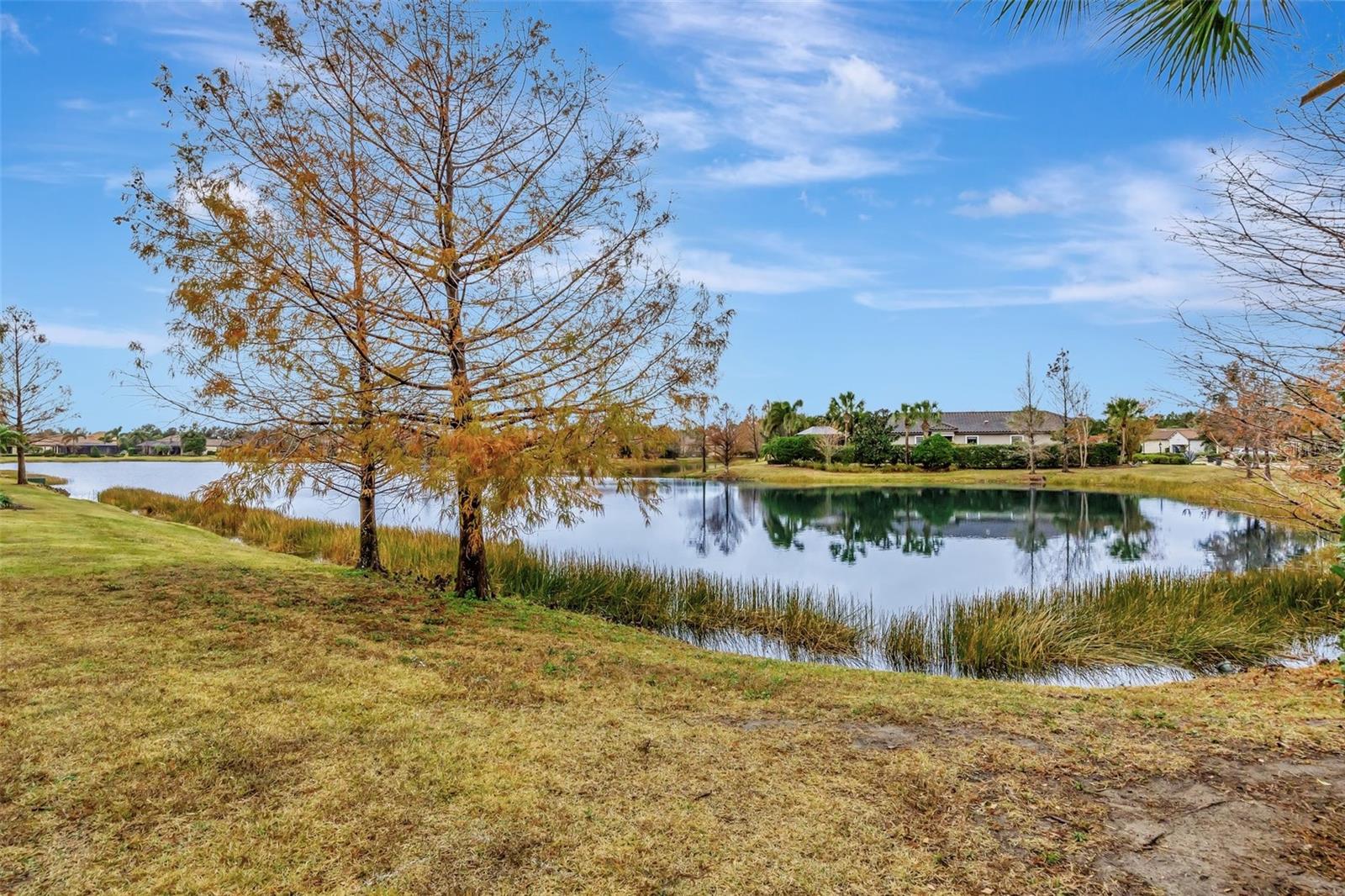 12785 FONTANA LOOP, BRADENTON, FL, 34211