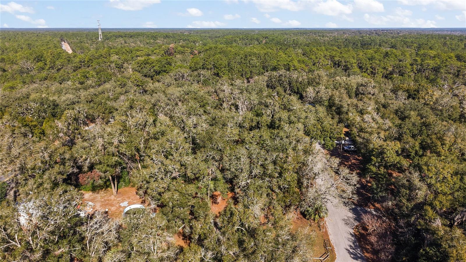5870 SE 158TH CT, OCKLAWAHA, FL, 32179