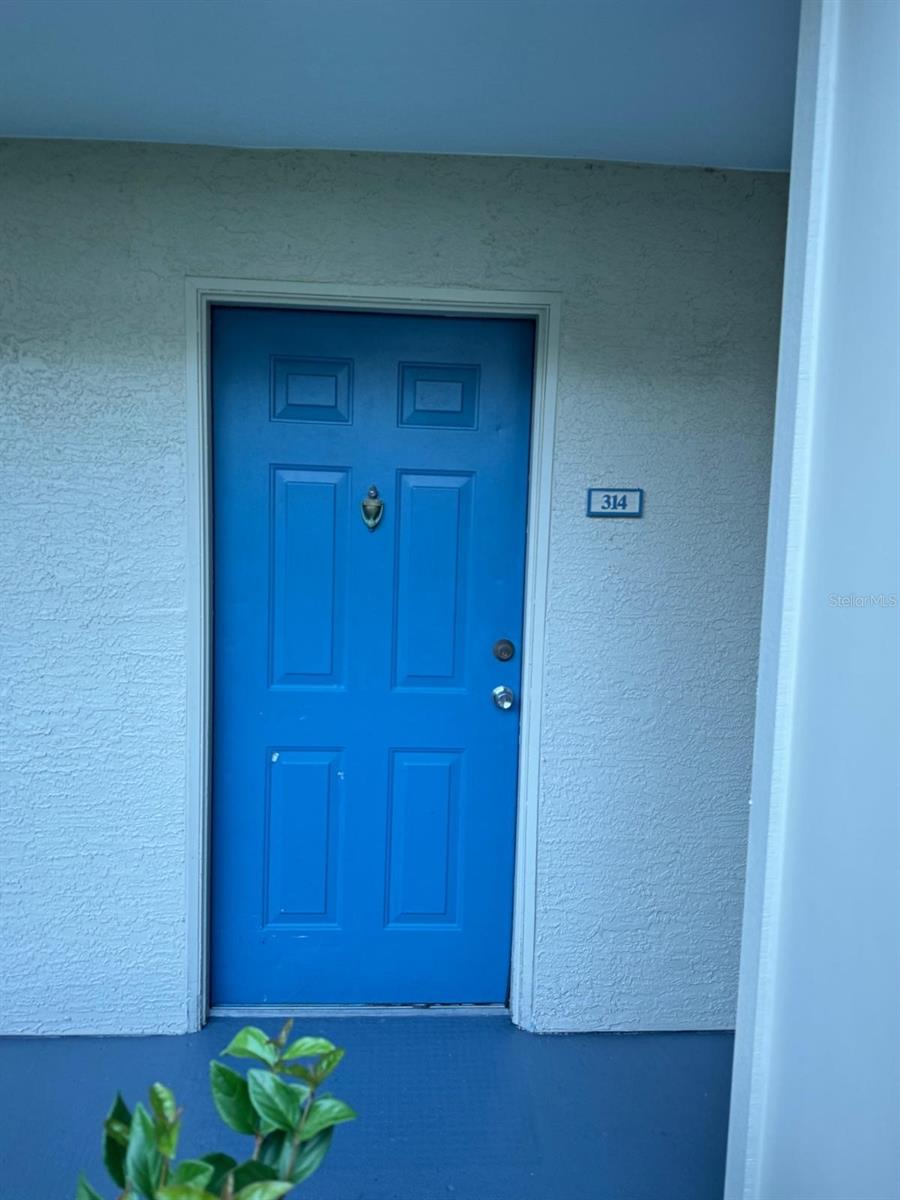 7340 WESTPOINTE BLVD #314, ORLANDO, FL, 32835