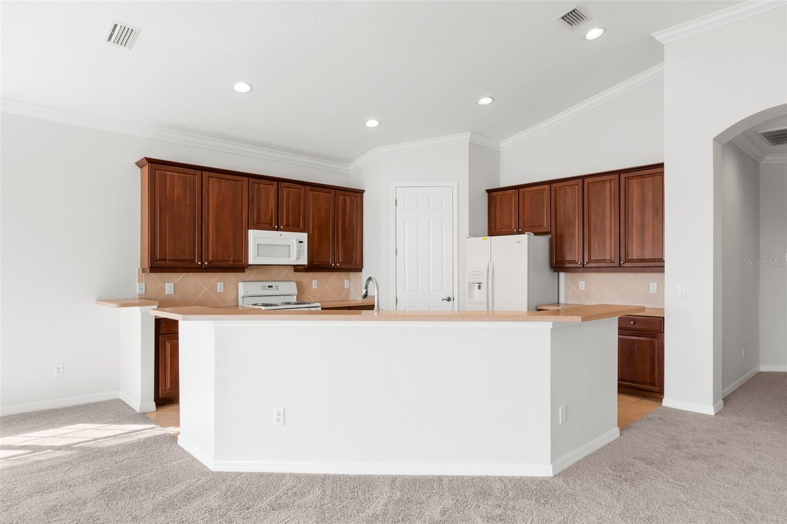 1354 EMERALD DUNES DR, SUN CITY CENTER, FL, 33573