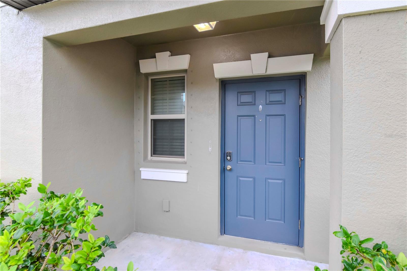 6180 APPLE SNAIL AVE, NEW PORT RICHEY, FL, 34653