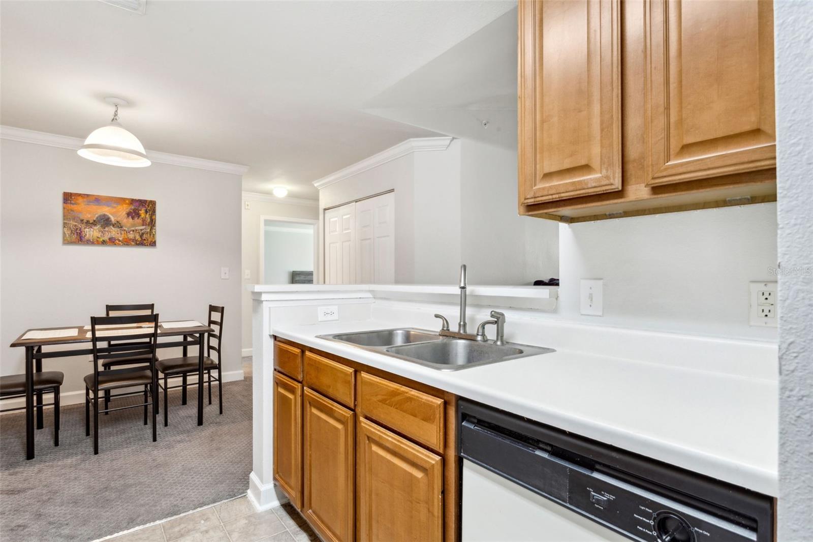 18119 STERLING GATE CIR #18119, TAMPA, FL, 33647