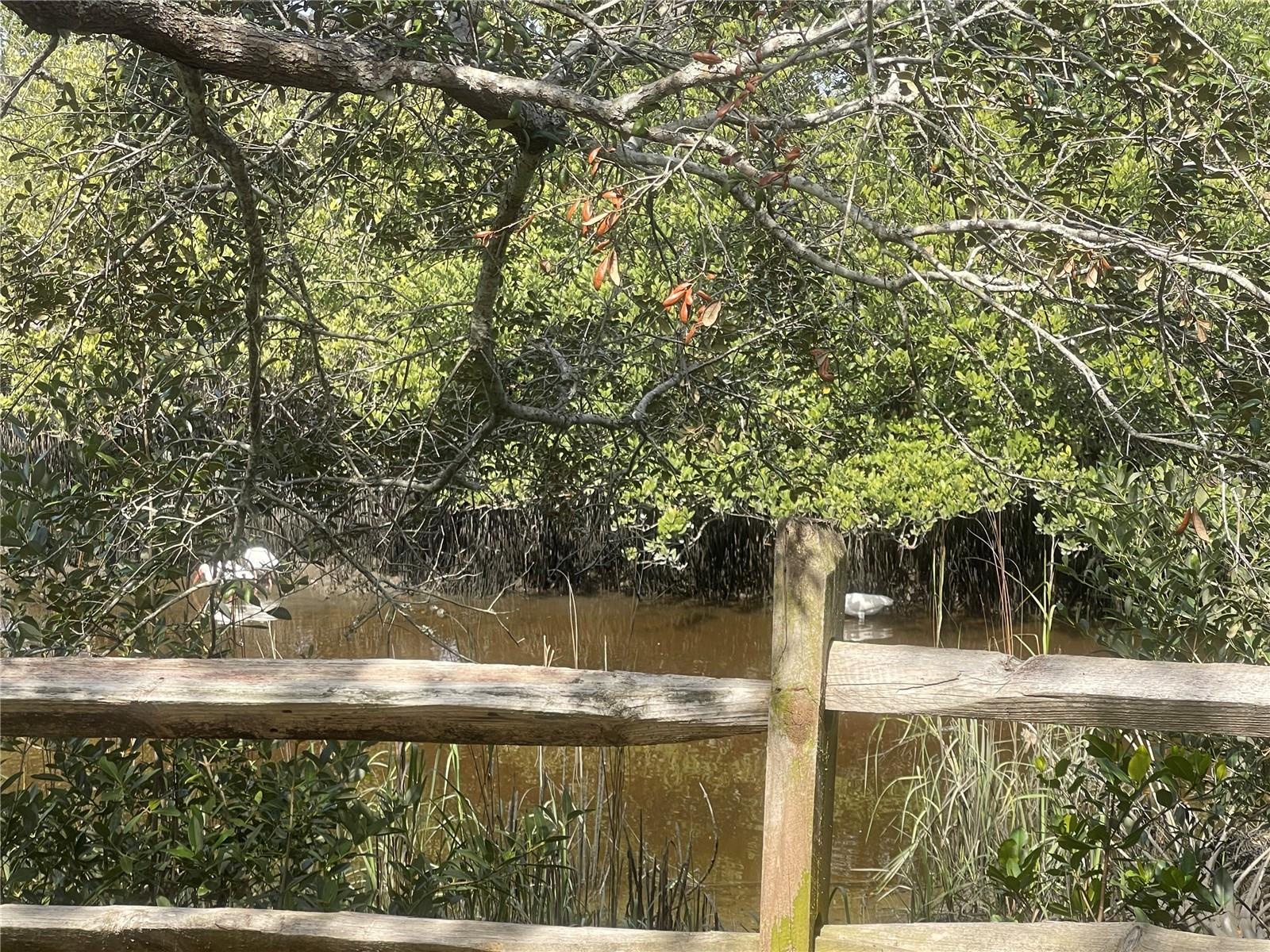 288 SAN NICOLAS WAY, ST AUGUSTINE, FL, 32080