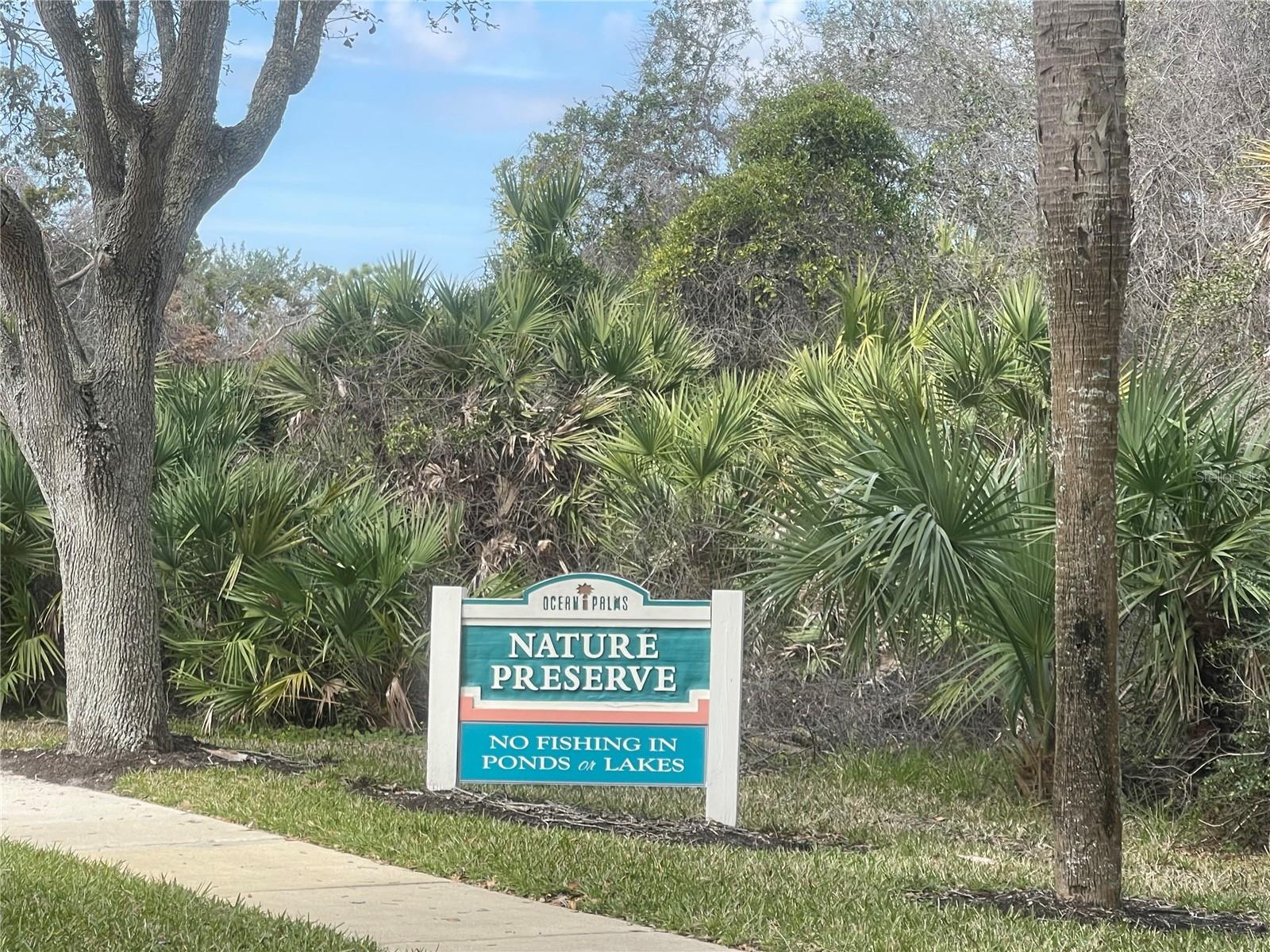 288 SAN NICOLAS WAY, ST AUGUSTINE, FL, 32080