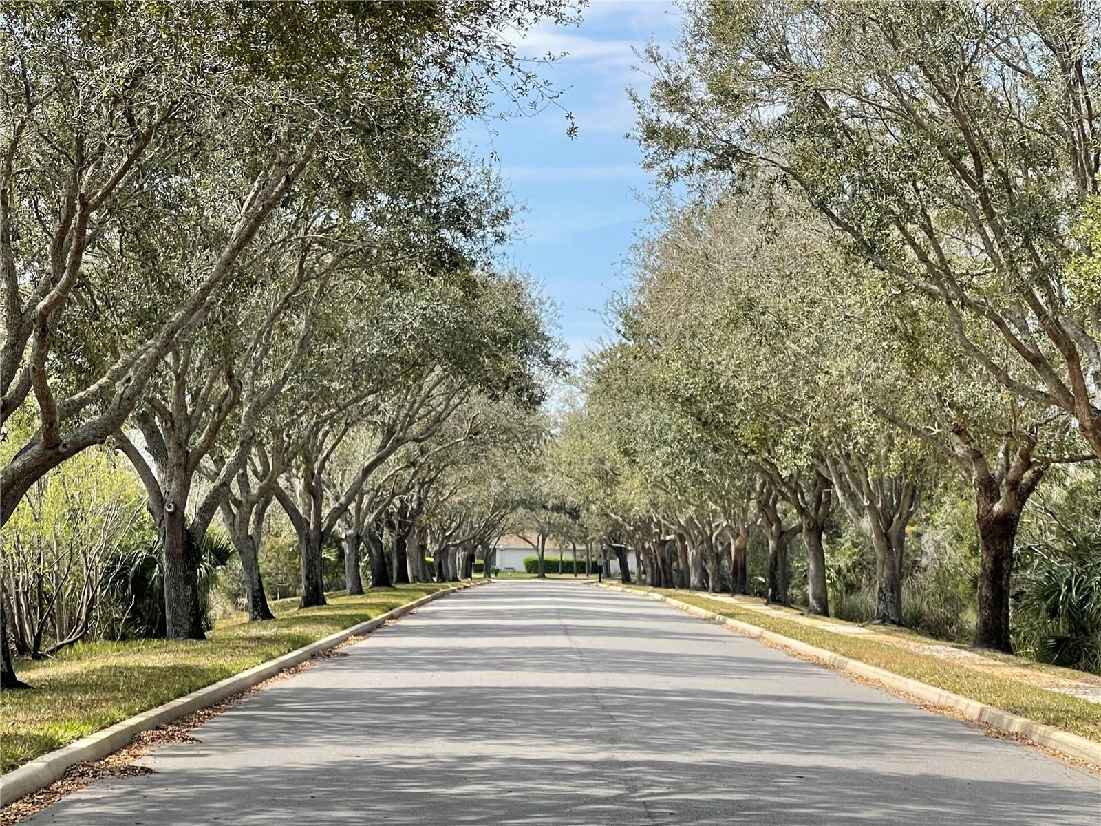 288 SAN NICOLAS WAY, ST AUGUSTINE, FL, 32080