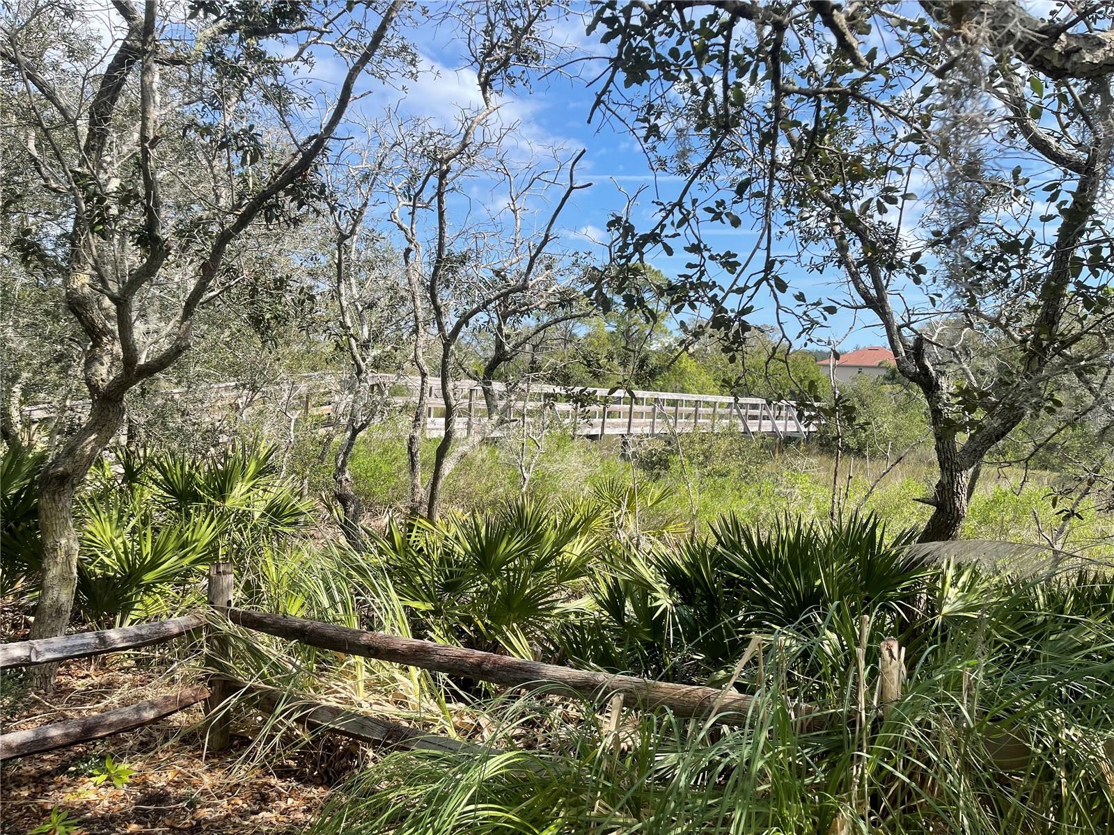 288 SAN NICOLAS WAY, ST AUGUSTINE, FL, 32080