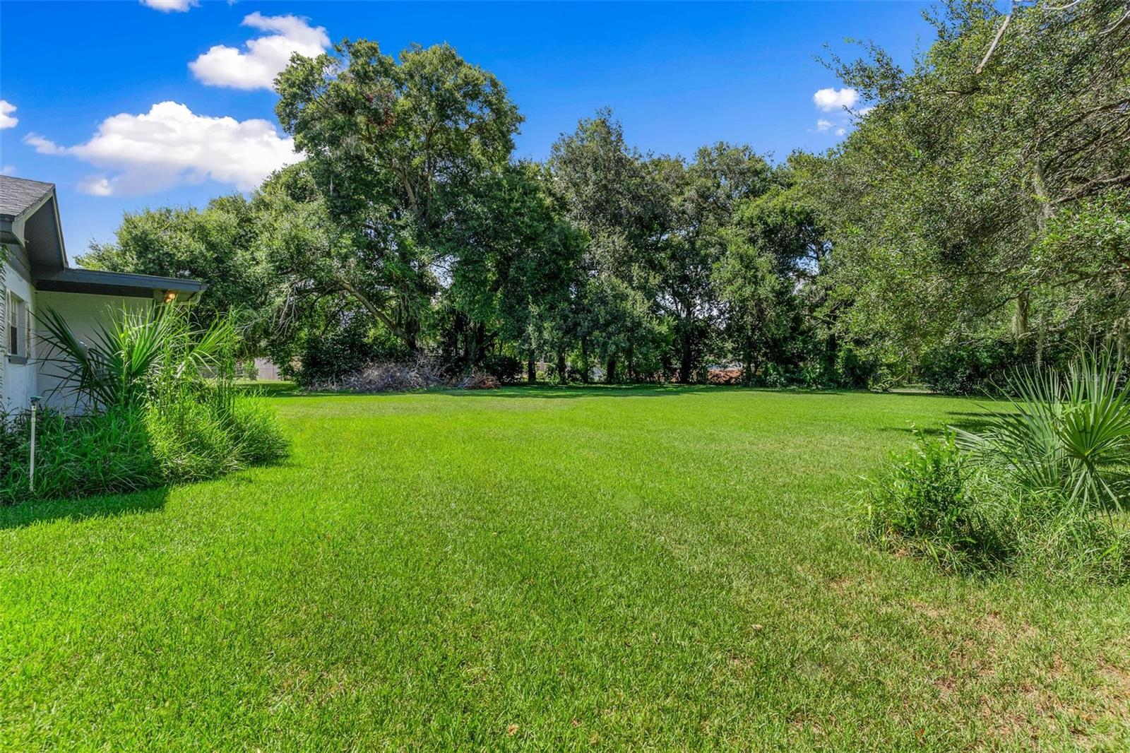2010 HOLLYWOOD DR, LEESBURG, FL, 34748