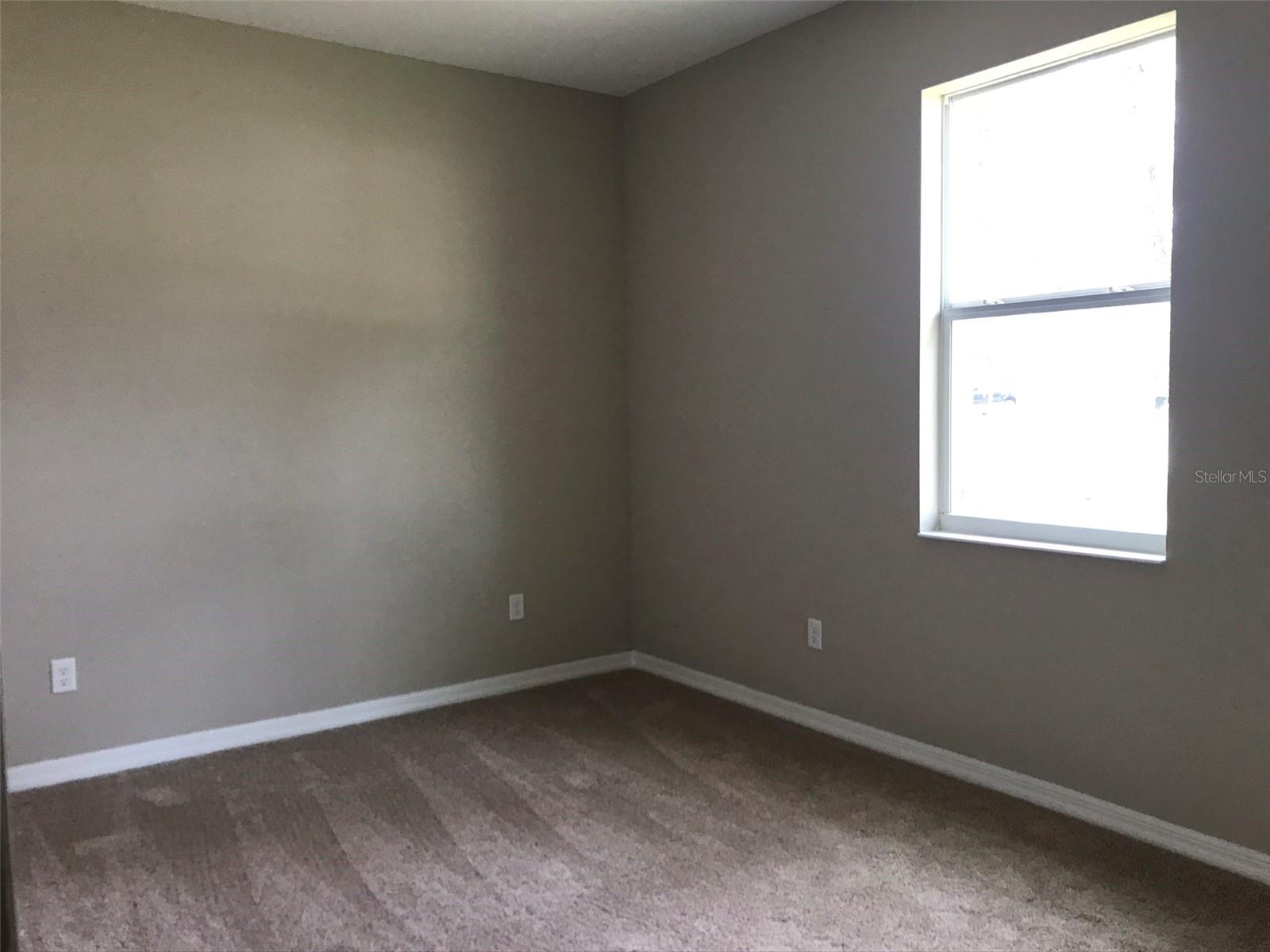 12426 LITTLE FARMS DR, SPRING HILL, FL, 34609
