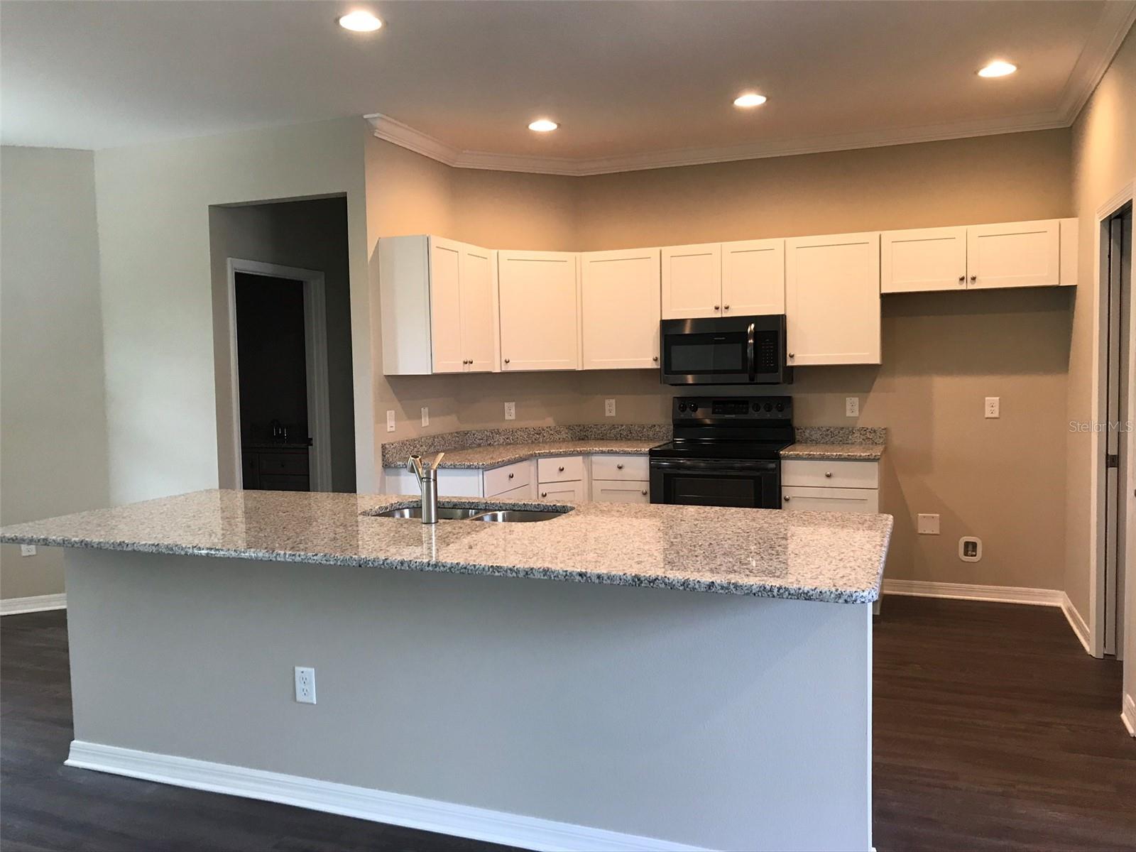 12426 LITTLE FARMS DR, SPRING HILL, FL, 34609