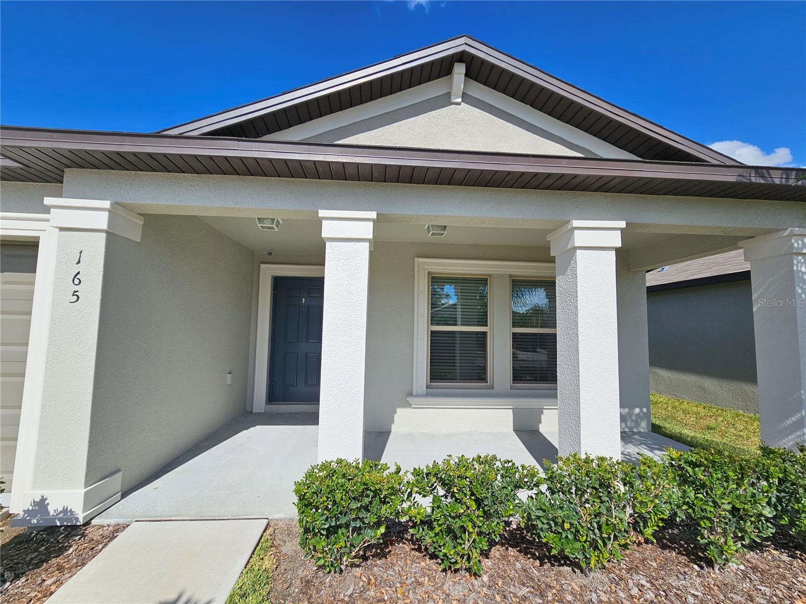 165 RAIN BERRY AVE, RUSKIN, FL, 33570