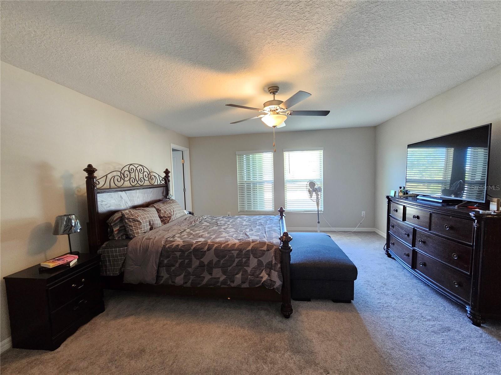 165 RAIN BERRY AVE, RUSKIN, FL, 33570