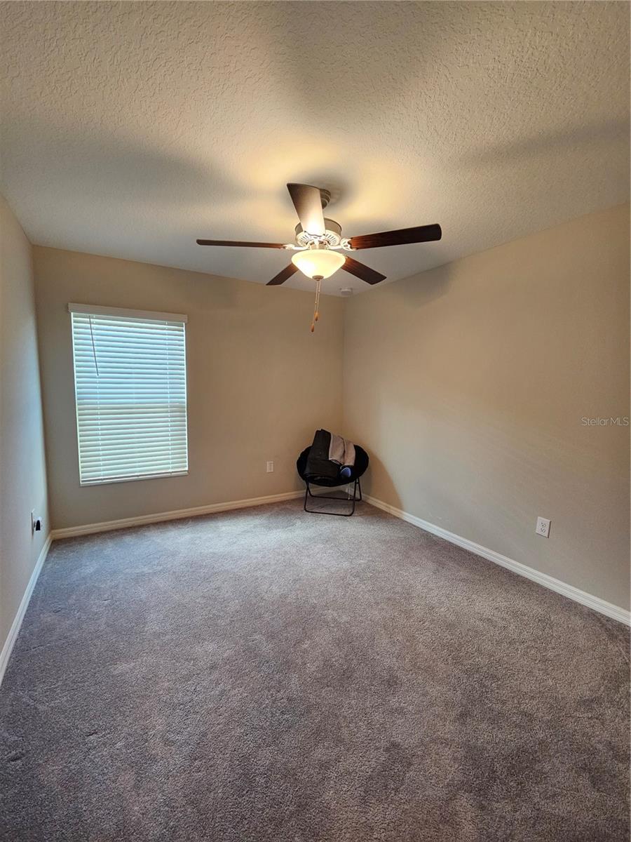 165 RAIN BERRY AVE, RUSKIN, FL, 33570